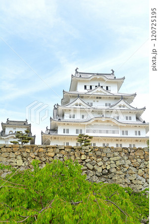世界文化遺産・姫路城 世界文化遺産・姫路城 120725195