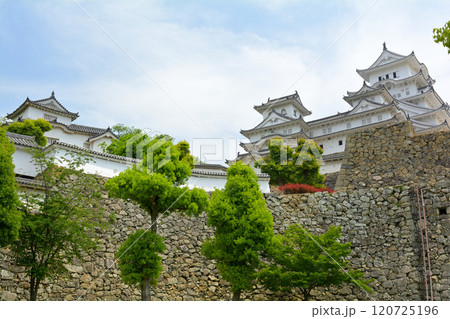 世界文化遺産・姫路城 世界文化遺産・姫路城 120725196