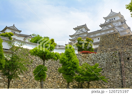 世界文化遺産・姫路城 世界文化遺産・姫路城 120725197