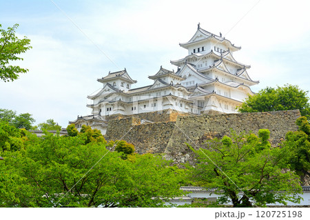 世界文化遺産・姫路城 世界文化遺産・姫路城 120725198
