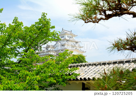 世界文化遺産・姫路城 120725205