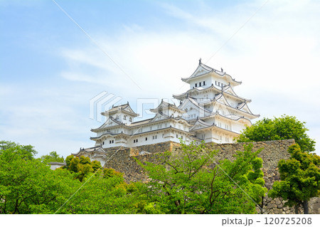世界文化遺産・姫路城 120725208