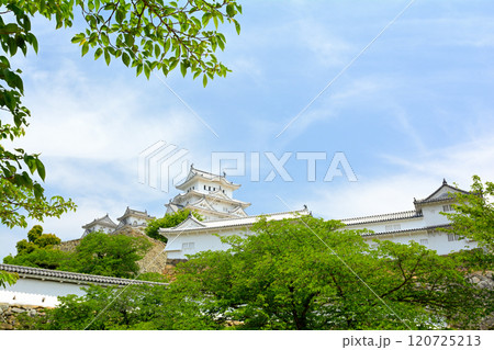 世界文化遺産・姫路城 120725213