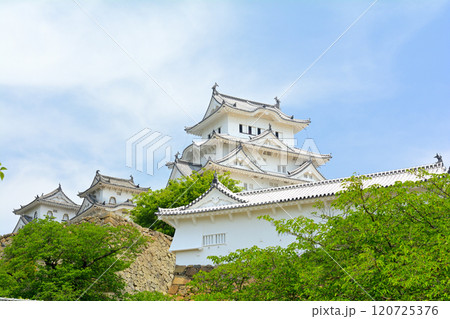世界文化遺産・姫路城 120725376