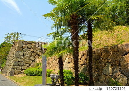 世界文化遺産・姫路城 120725393