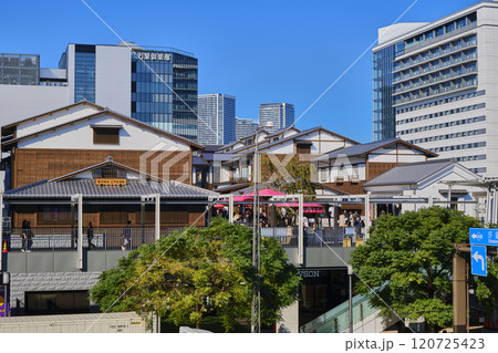 東京中央卸売市場　豊洲市場 120725423