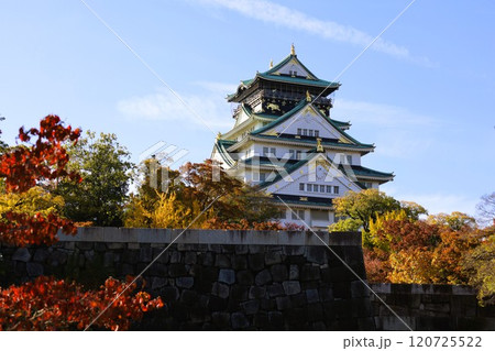 秋晴、紅葉の大阪城、天高く肥ゆる秋の空、銀杏、いちょう、なにわのことも夢のまた夢、柳や紅葉、青空の城 秋晴、紅葉の大阪城、天高く肥ゆる秋の空、銀杏、いちょう、なにわのことも夢のまた夢、柳や紅葉、青空の城 120725522