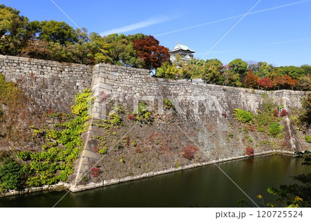 秋晴、紅葉の大阪城、天高く肥ゆる秋の空、銀杏、いちょう、なにわのことも夢のまた夢、柳や紅葉、青空の城 秋晴、紅葉の大阪城、天高く肥ゆる秋の空、銀杏、いちょう、なにわのことも夢のまた夢、柳や紅葉、青空の城 120725524