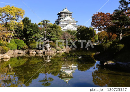 秋晴、紅葉の大阪城、天高く肥ゆる秋の空、銀杏、いちょう、なにわのことも夢のまた夢、柳や紅葉、青空の城 秋晴、紅葉の大阪城、天高く肥ゆる秋の空、銀杏、いちょう、なにわのことも夢のまた夢、柳や紅葉、青空の城 120725527