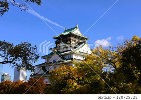 秋晴、紅葉の大阪城、天高く肥ゆる秋の空、銀杏、いちょう、なにわのことも夢のまた夢、柳や紅葉、青空の城 120725528