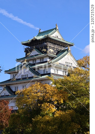 秋晴、紅葉の大阪城、天高く肥ゆる秋の空、銀杏、いちょう、なにわのことも夢のまた夢、柳や紅葉、青空の城 秋晴、紅葉の大阪城、天高く肥ゆる秋の空、銀杏、いちょう、なにわのことも夢のまた夢、柳や紅葉、青空の城 120725529