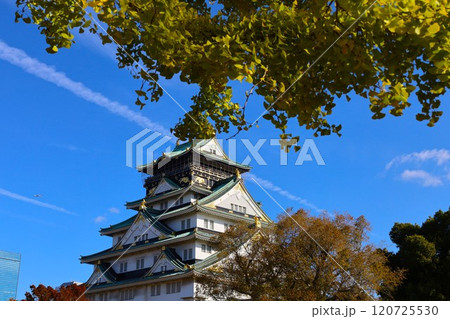 秋晴、紅葉の大阪城、天高く肥ゆる秋の空、銀杏、いちょう、なにわのことも夢のまた夢、柳や紅葉、青空の城 120725530