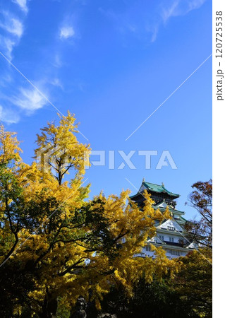 秋晴、紅葉の大阪城、天高く肥ゆる秋の空、銀杏、いちょう、なにわのことも夢のまた夢、柳や紅葉、青空の城 秋晴、紅葉の大阪城、天高く肥ゆる秋の空、銀杏、いちょう、なにわのことも夢のまた夢、柳や紅葉、青空の城 120725538
