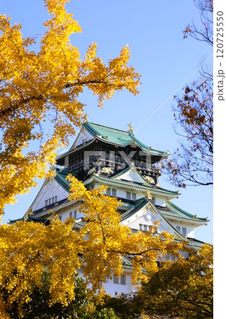 秋晴、紅葉の大阪城、天高く肥ゆる秋の空、銀杏、いちょう、なにわのことも夢のまた夢、柳や紅葉、青空の城 秋晴、紅葉の大阪城、天高く肥ゆる秋の空、銀杏、いちょう、なにわのことも夢のまた夢、柳や紅葉、青空の城 120725550