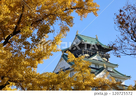 秋晴、紅葉の大阪城、天高く肥ゆる秋の空、銀杏、いちょう、なにわのことも夢のまた夢、柳や紅葉、青空の城 120725572
