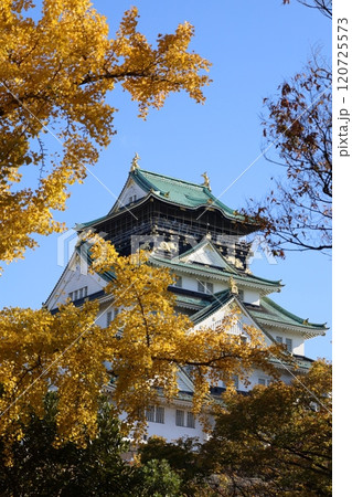 秋晴、紅葉の大阪城、天高く肥ゆる秋の空、銀杏、いちょう、なにわのことも夢のまた夢、柳や紅葉、青空の城 120725573