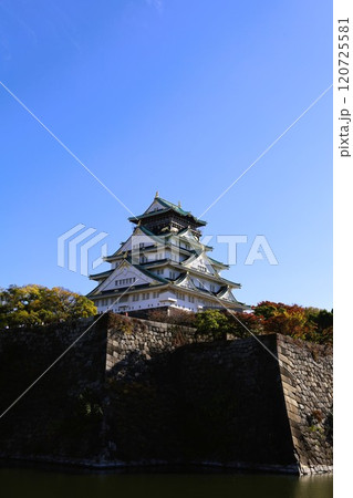 秋晴、紅葉の大阪城、天高く肥ゆる秋の空、銀杏、いちょう、なにわのことも夢のまた夢、柳や紅葉、青空の城 秋晴、紅葉の大阪城、天高く肥ゆる秋の空、銀杏、いちょう、なにわのことも夢のまた夢、柳や紅葉、青空の城 120725581