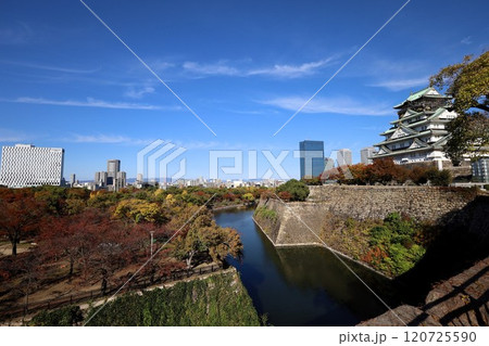 秋晴、紅葉の大阪城、天高く肥ゆる秋の空、銀杏、いちょう、なにわのことも夢のまた夢、柳や紅葉、青空の城 秋晴、紅葉の大阪城、天高く肥ゆる秋の空、銀杏、いちょう、なにわのことも夢のまた夢、柳や紅葉、青空の城 120725590