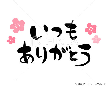筆文字いつもありがとう（さくら） 120725664