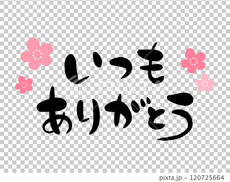 筆文字いつもありがとう（さくら） 120725664