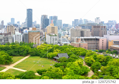 日本100名城・大阪城 120725742