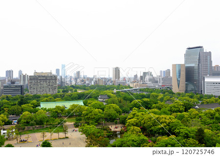 日本100名城・大阪城 120725746
