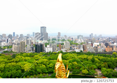 日本100名城・大阪城 120725753