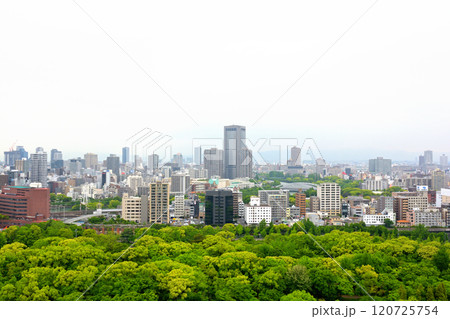 日本100名城・大阪城 日本100名城・大阪城 120725754