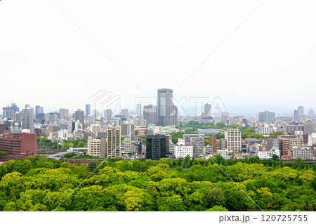 日本100名城・大阪城 120725755