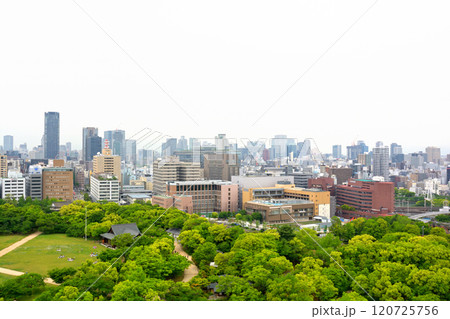 日本100名城・大阪城 120725756