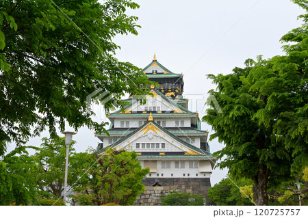 日本100名城・大阪城 120725757