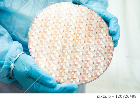 Silicon wafer for manufacturing semiconductor of integrated circuit. 120726499