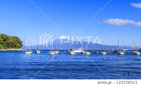 西伊豆から見えるヨットと富士山 120726521