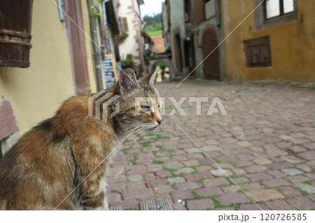 フランス　リクヴィルの街並み 120726585