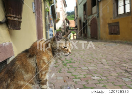 フランス　リクヴィルの街並み 120726586