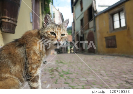 フランス リクヴィルの街並み フランス リクヴィルの街並み 120726588
