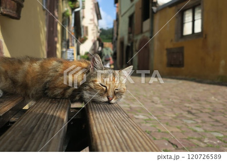 フランス　リクヴィルの街並み 120726589