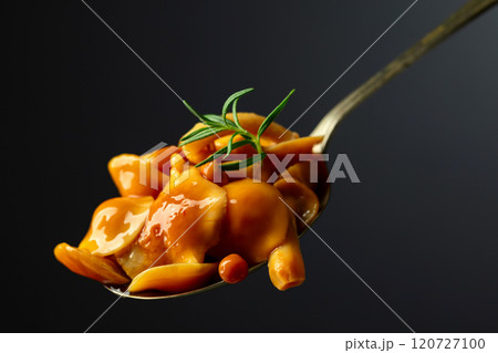 Homemade pickled honey mushrooms in spoon. 120727100