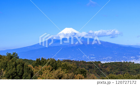 達磨山から見た富士山 達磨山から見た富士山 120727172