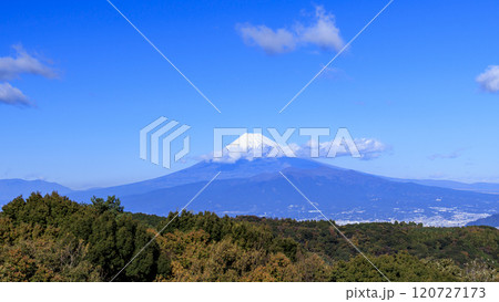 達磨山から見た富士山 達磨山から見た富士山 120727173