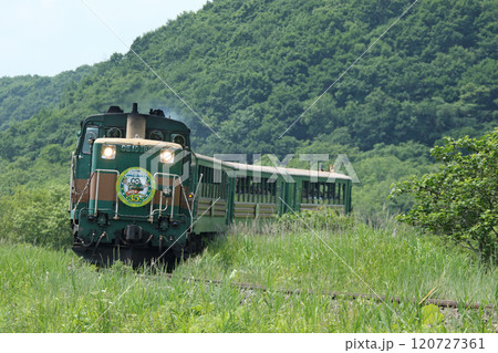 湿原を駆けるくしろ湿原ノロッコ号　35周年記念マーク　自然満喫 120727361