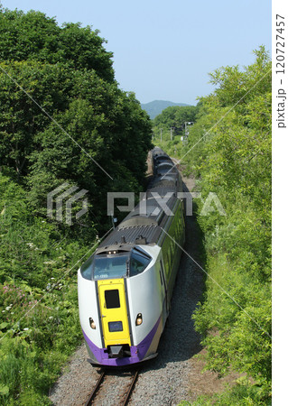 根室本線を駆ける特急おおぞら　おおぞら　根室本線　石勝線　キハ261 120727457