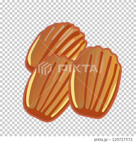 烘焙糖果瑪德琳的插圖 烘焙糖果瑪德琳的插圖 120727572