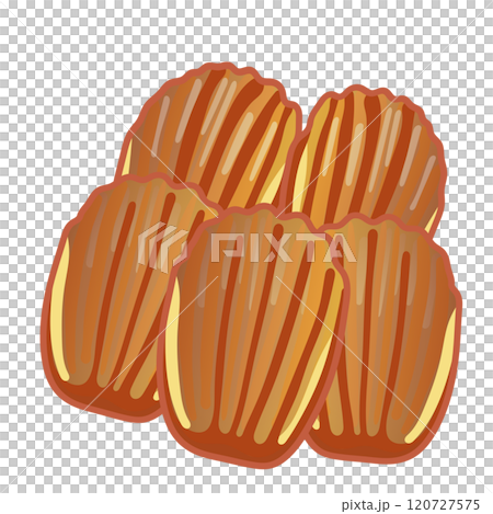 焼き菓子マドレーヌのイラスト 120727575