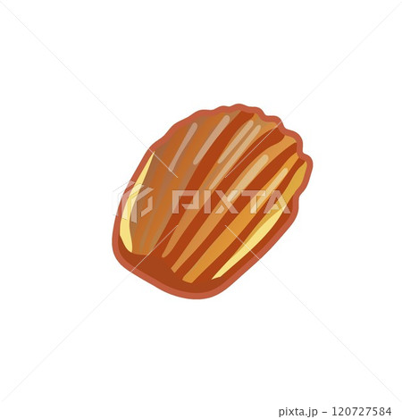 焼き菓子マドレーヌのイラスト 120727584