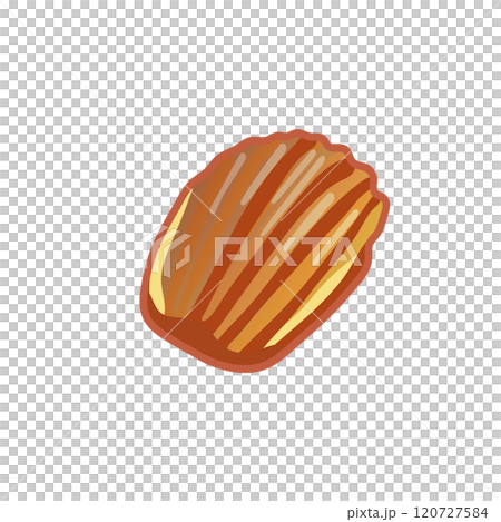 焼き菓子マドレーヌのイラスト 120727584