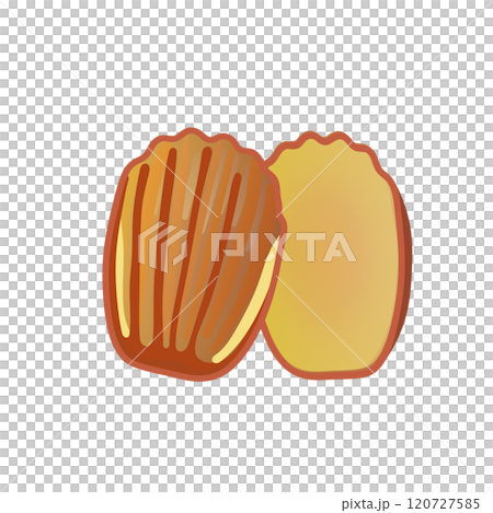 焼き菓子マドレーヌのイラスト 120727585