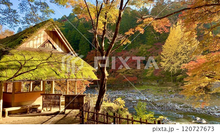 朝日に映える巴川ほとりの紅葉と茶室「助庵」〈香嵐渓/愛知県豊田市足助町〉 朝日に映える巴川ほとりの紅葉と茶室「助庵」〈香嵐渓/愛知県豊田市足助町〉 120727673