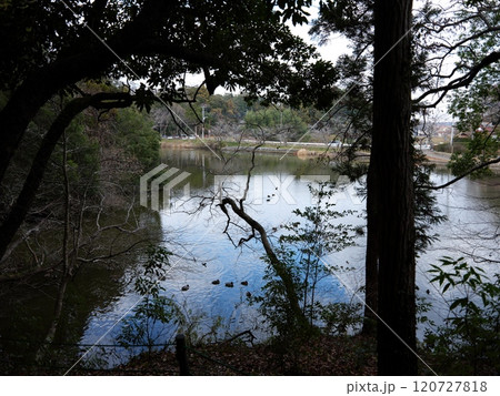 坂田ケ池総合公園の風景 坂田ケ池総合公園の風景 120727818