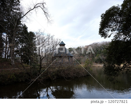 坂田ケ池総合公園の風景 120727821